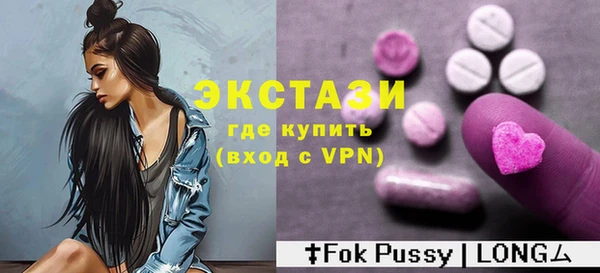 индика Чегем