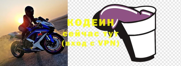 индика Чегем