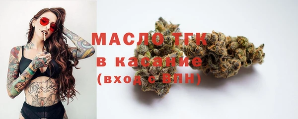 индика Чегем