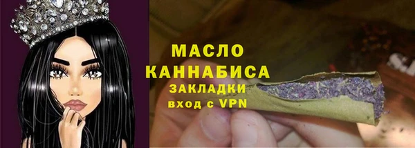 индика Чегем