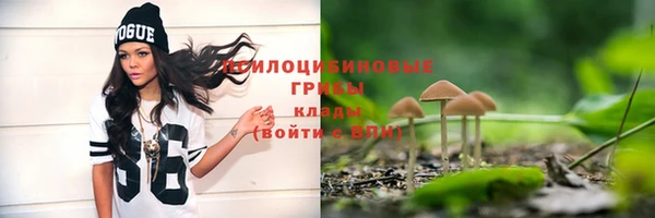 прущий лед Чекалин
