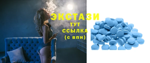индика Чегем