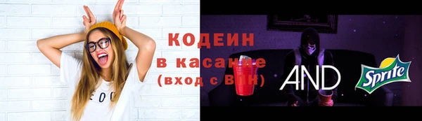 индика Чегем