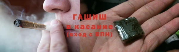 индика Чегем