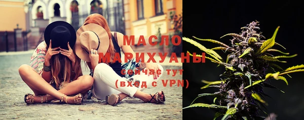 индика Чегем