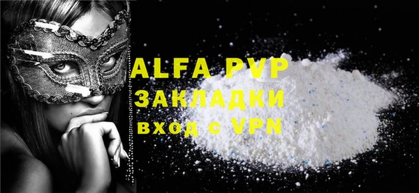 индика Чегем