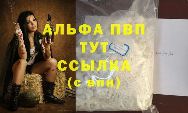 индика Чегем