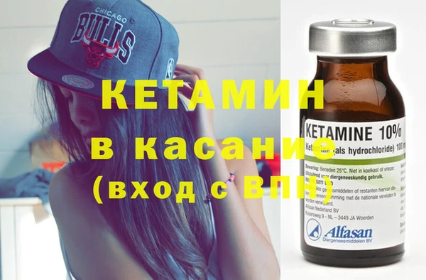 индика Чегем