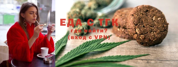 индика Чегем