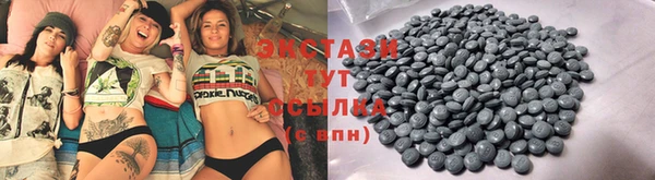 индика Чегем