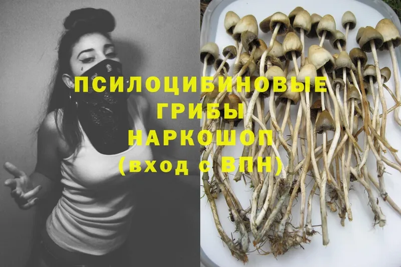 Псилоцибиновые грибы Psilocybe  Энем 